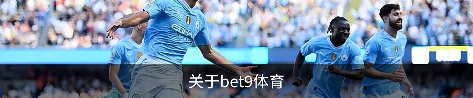 关于bet9体育